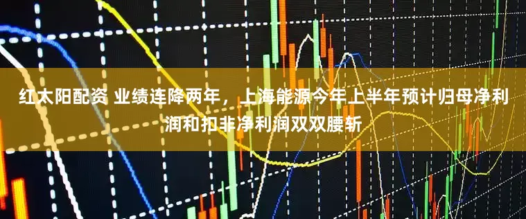 红太阳配资 业绩连降两年，上海能源今年上半年预计归母净利润和扣非净利润双双腰斩