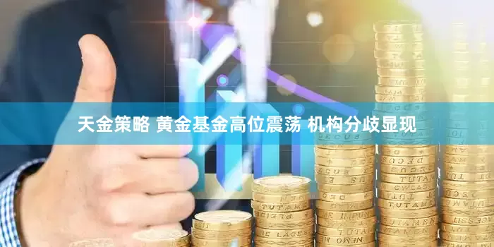 天金策略 黄金基金高位震荡 机构分歧显现