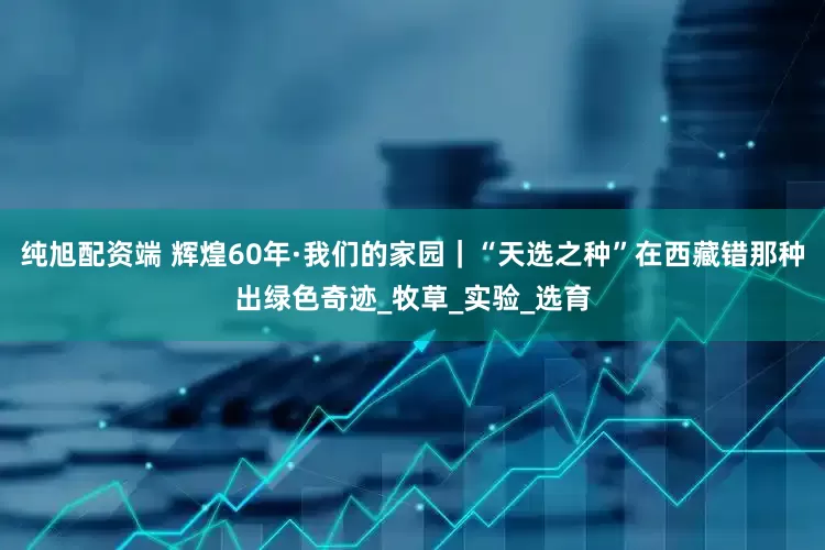 纯旭配资端 辉煌60年·我们的家园｜“天选之种”在西藏错那种出绿色奇迹_牧草_实验_选育