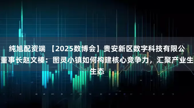 纯旭配资端 【2025数博会】贵安新区数字科技有限公司董事长赵文榛:图灵小镇如何构建核心竞争力,汇聚产业生态